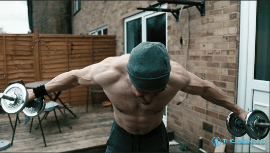 Rear dumbbell raises