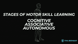 Stages of Motor Skill Learning