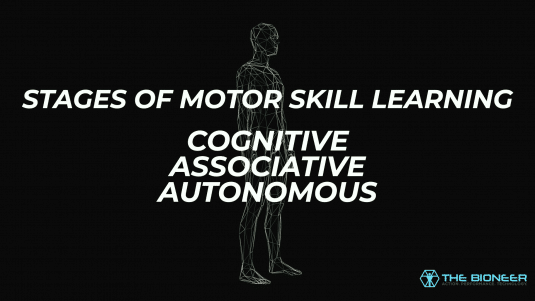 Stages of Motor Skill Learning
