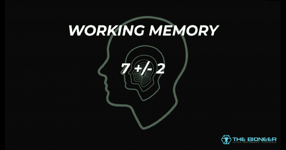 Working Memory