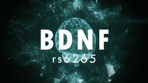 BDNF polymorphism