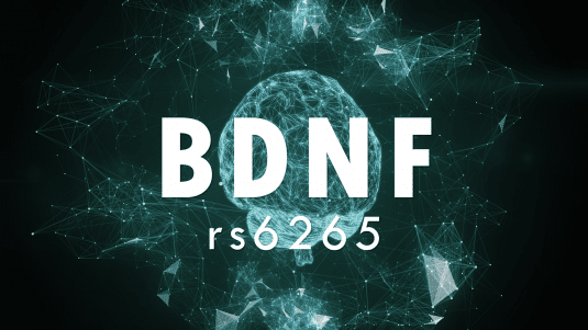 BDNF polymorphism