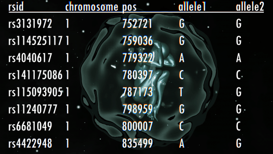 Bioneer Genome