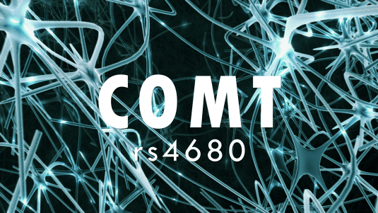 COMT polymorphism