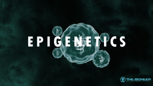 Epigentics