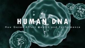 Human DNA