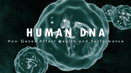 Human DNA