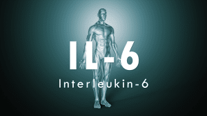 IL-6 polymorphism