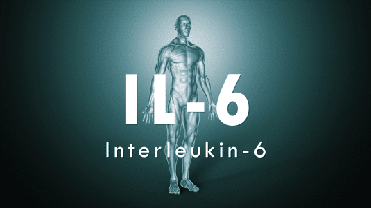 IL-6 polymorphism