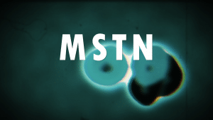 MSTN myostatin mutation