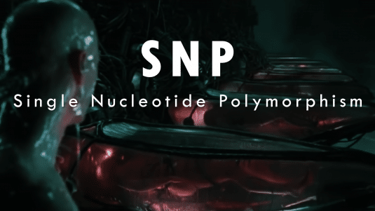 Single Nucleotide Polymorphism