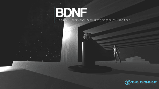 BDNF for plasticity priming