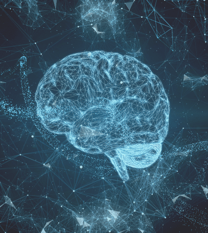 Warming up the brain