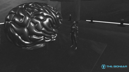 Facing Brain