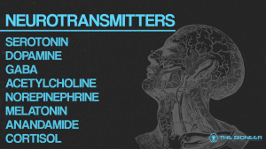 Neurotransmitters