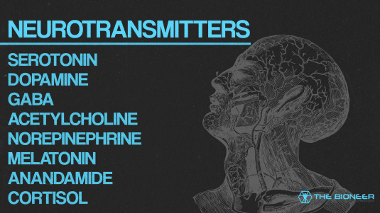 Neurotransmitters