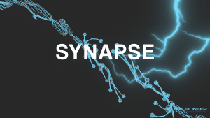 Synapse