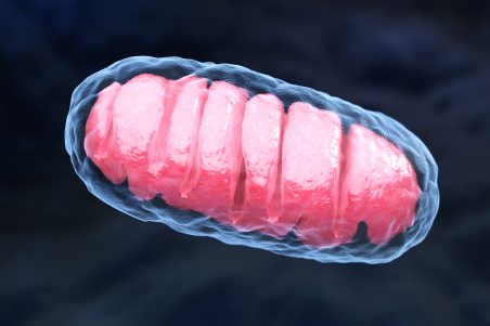 What is NAD+