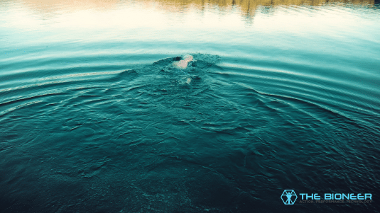 Swimming for bulletproof joints
