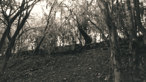 L-Sit in Woods