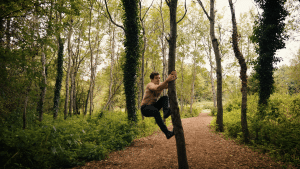 Tree climb