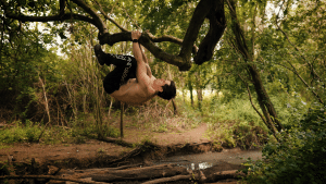 Tree branch pull up