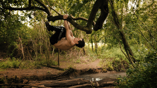 Tree branch pull up