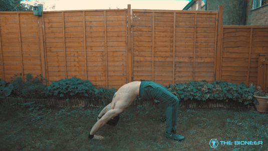 Back bridge shoulder mobility