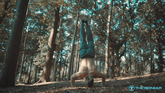Handstand Push Up