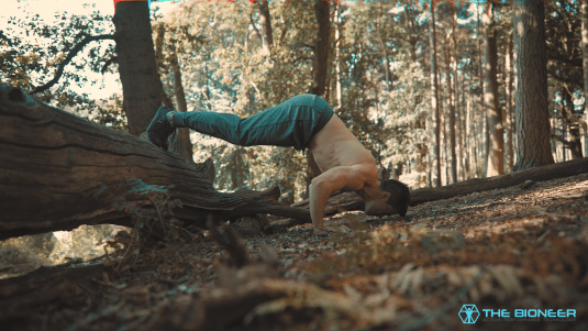 Pike Press Up