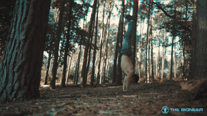 Handstand Shoulder Bulletproofing