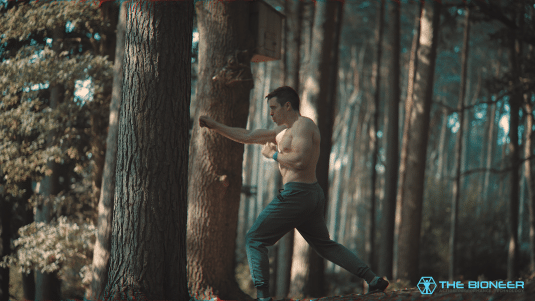 Sparring in Woods