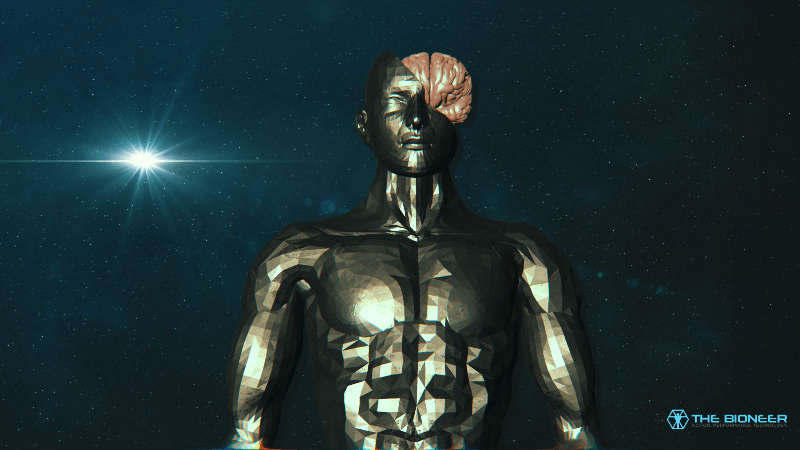 The Brain