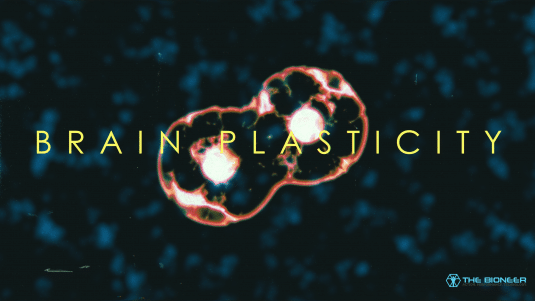 Plasticity
