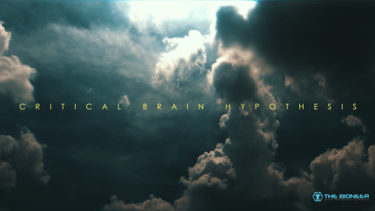 Critical Brain Hypothesis