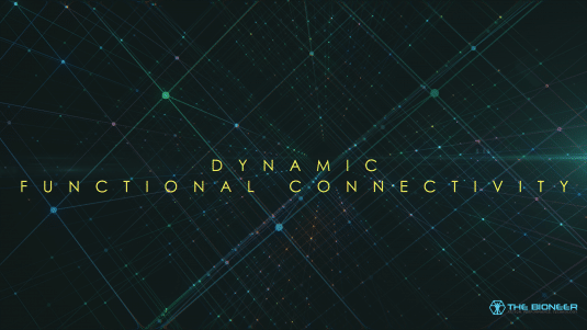 Dynamic Functional Connectivity
