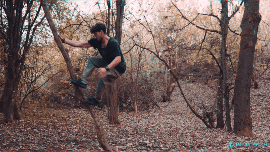 Parkour Trees