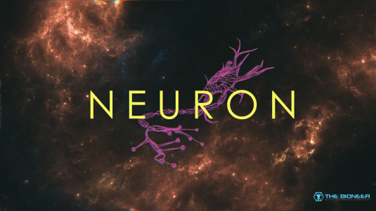 Neuron