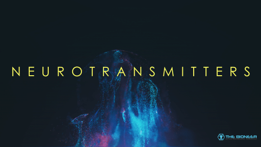 Neurotransmitters