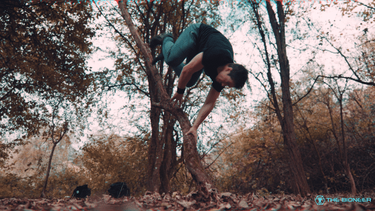 Bioneer Palm Spin