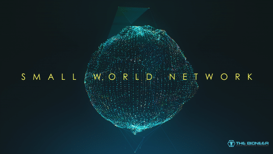 Small World Brain