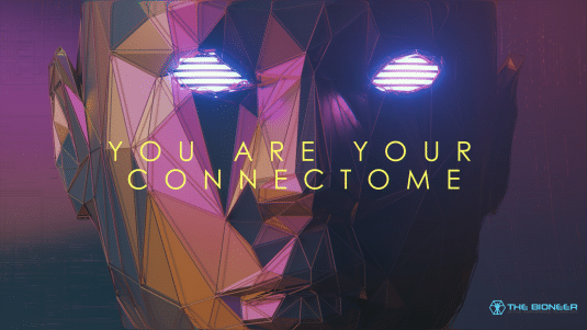 Connectome