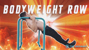 Bodyweight Row