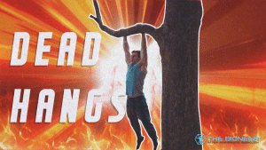 dead hang
