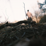 Witcher Walking