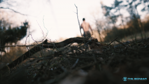 Witcher Walking