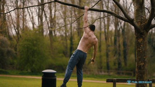Hanging is a Fundamental Human Movement
