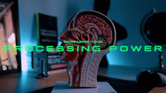 Working memory