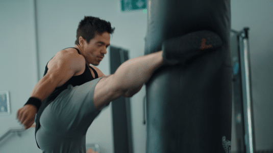 Roundhouse Kick