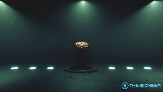 Human Brain